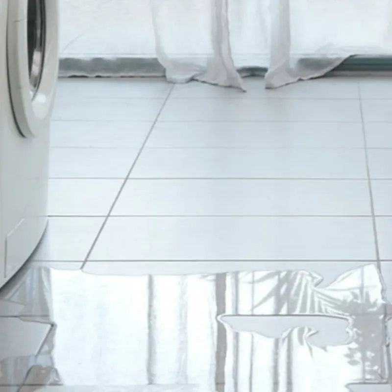 Appliance Leak Cleanup in Lake County, MT