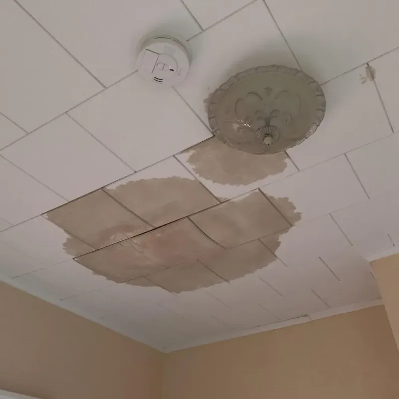 Ceiling Water Damage Repair in Lake County, MT