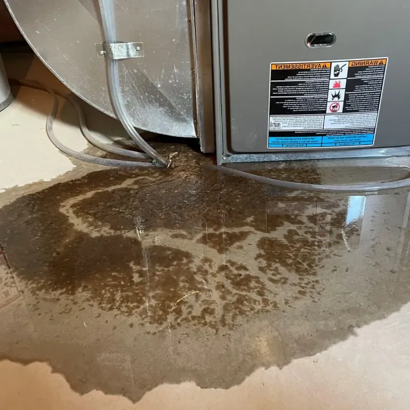 Pipe Burst and Leak Restoration in Lake County, MT