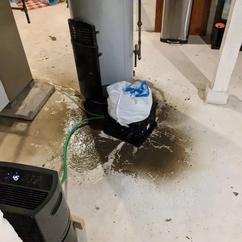 Sewage Backup Cleanup Service in Lake County, MT
